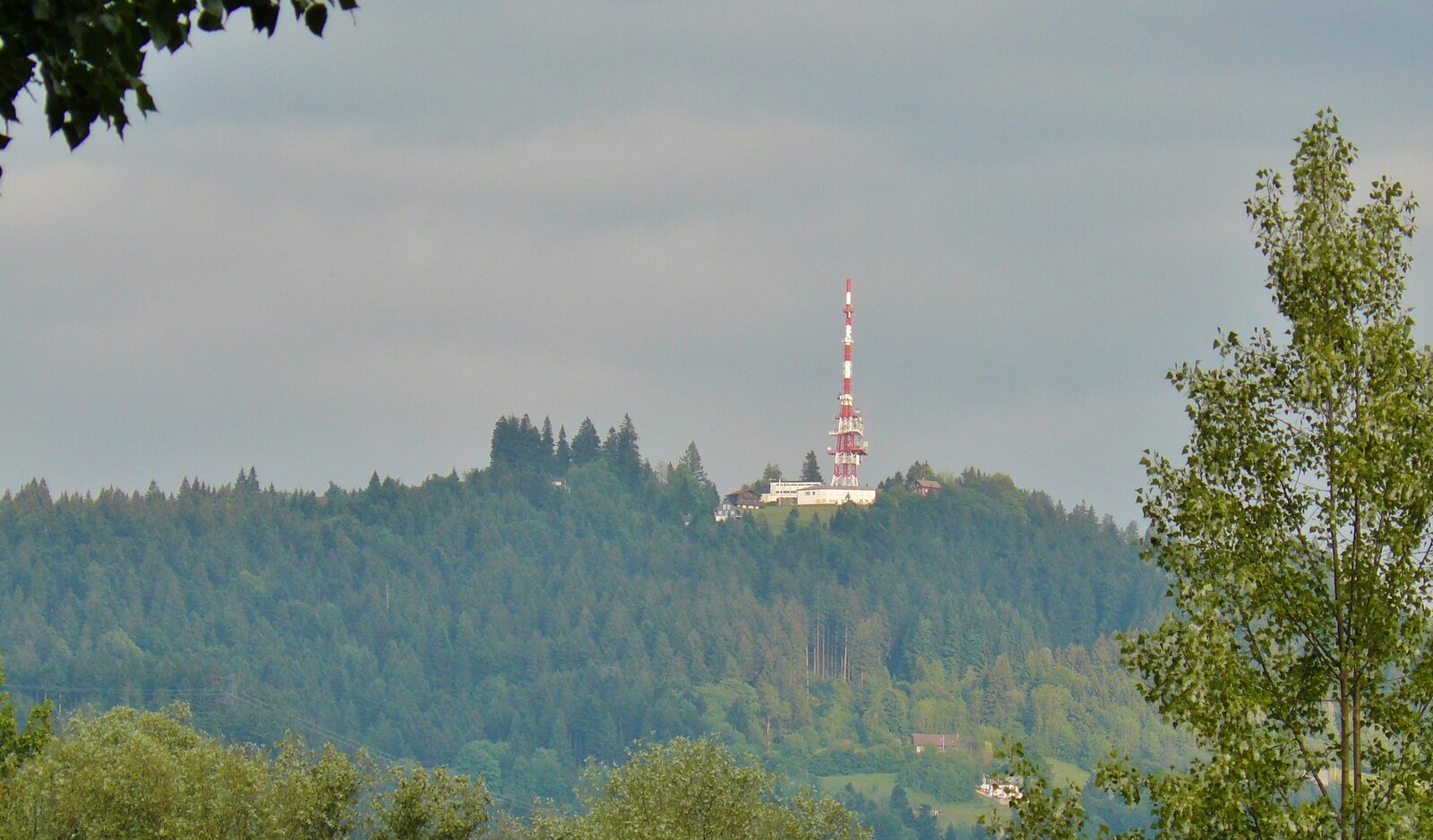 Blick vom Pfänder auf Bregenz und den Bodensee — Treffpunkt der Bregenzer Begegnung.