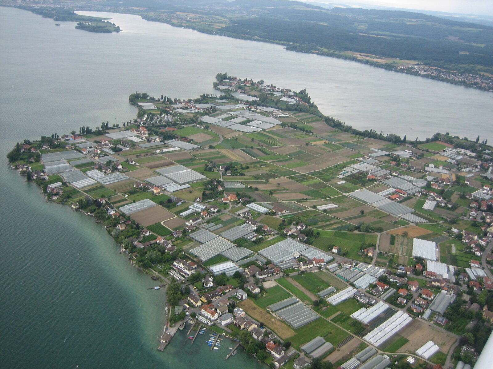 Münster St. Maria und Markus in Reichenau-Mittelzell, davor eine Blumenwiese