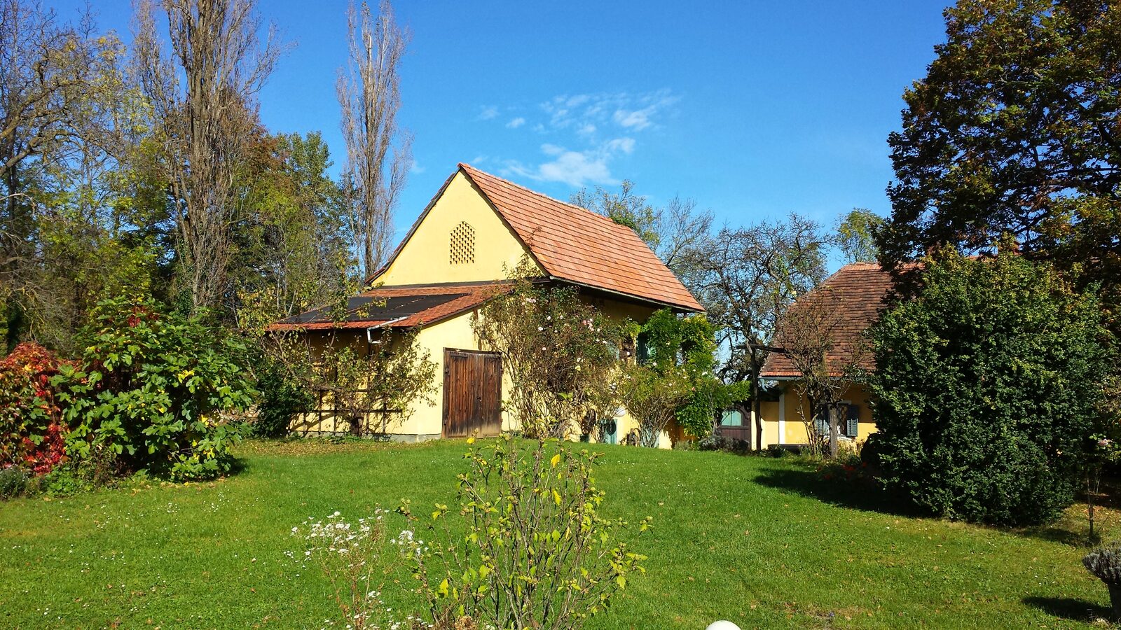 Weinberge an der Südsteirischen Weinstraße — Ziel der CV-Reise.