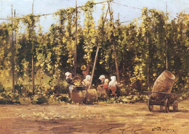 Tettnanger Hopfen am Bodensee — Grundlage des Bierseminars.